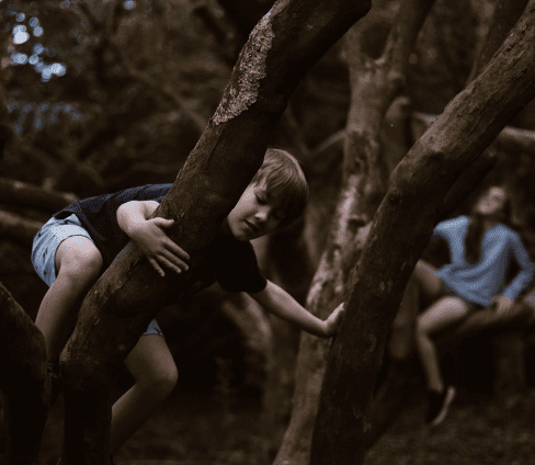 Junge klettert auf einen Baum